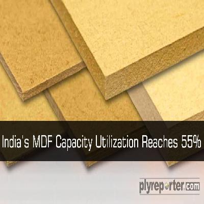 Century MDF Plywood