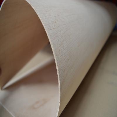Wooden Flexible Plywood