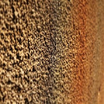Spray Compact Surface Texture Paint