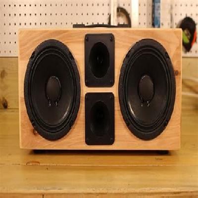 Coustomize Bluetooth speaker