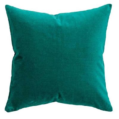 Velvet Cushion