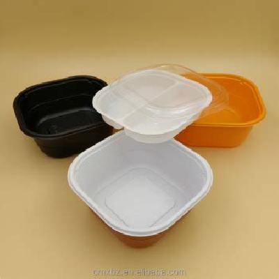 Double Compartment Plastic Tiffin Box