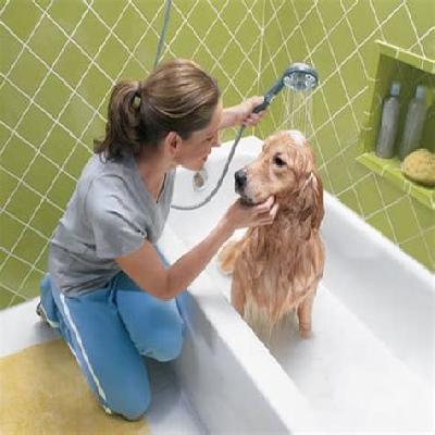 Pet Bathing Shower