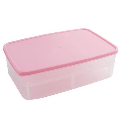 Plastic Food Storage Pink Container