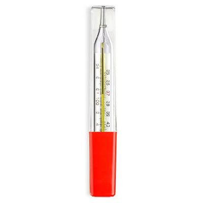 Oval Clinical Mercury Thermometer