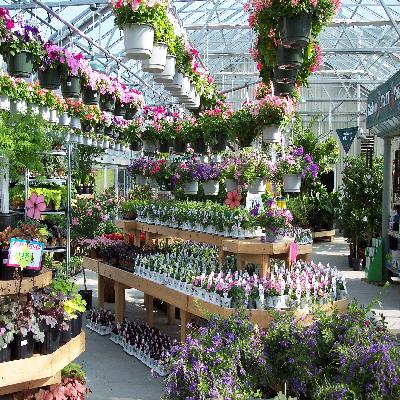 Nursery Greenhouse