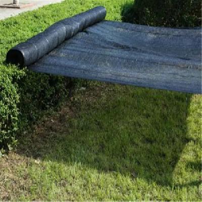 Nursery Shade Net