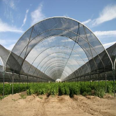 Shade Net Tunnel