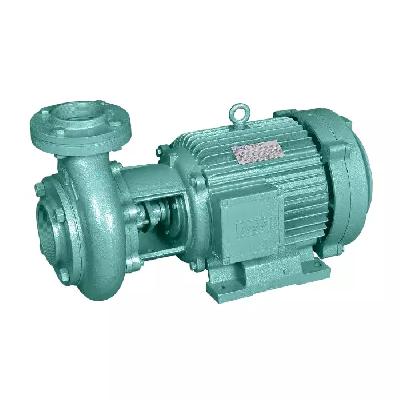 3 HP Monoblock Pump