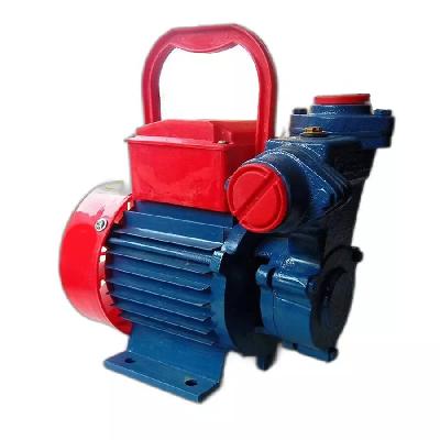 Domestic Monoblock Pump