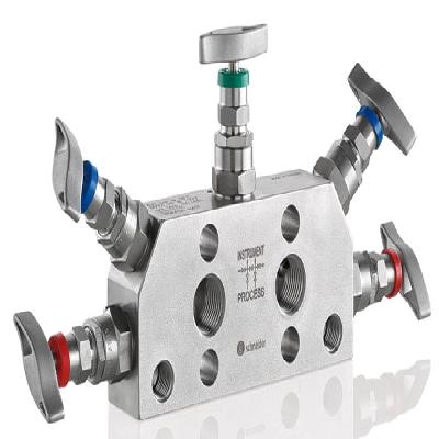 Manifold Valves