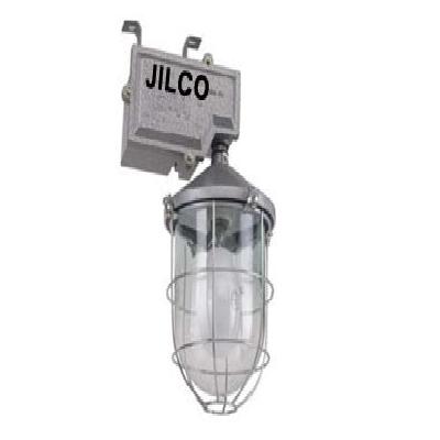 Non Integral Industrial Well Glass Luminary