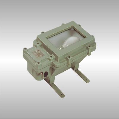 Flameproof Bulkhead Luminaires