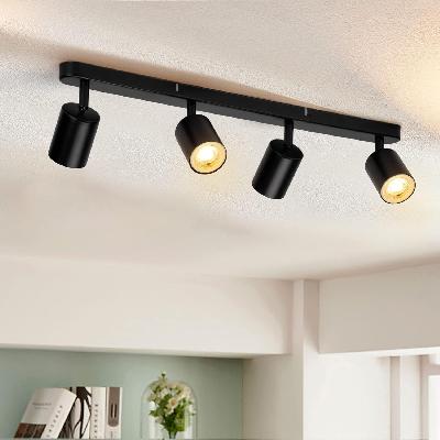 Horizontal Ceiling Mounted Luminaires