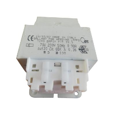 Potted HPSV and MH Ballast