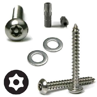 Anti Theft Fasteners