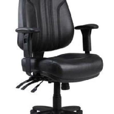 Rover Executive Office Chair