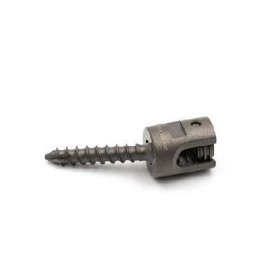 Cervical Screw