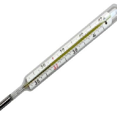 Mercury Thermometer