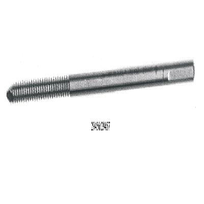 Schanz Screw