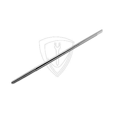 Taper Schanz Screw