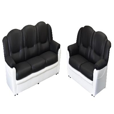 TLEXIA2 2 Seater Office Sofa