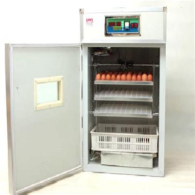 EGG. INCUBATOR