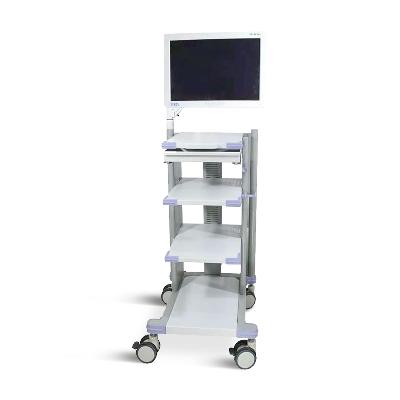 Monitor Trolley