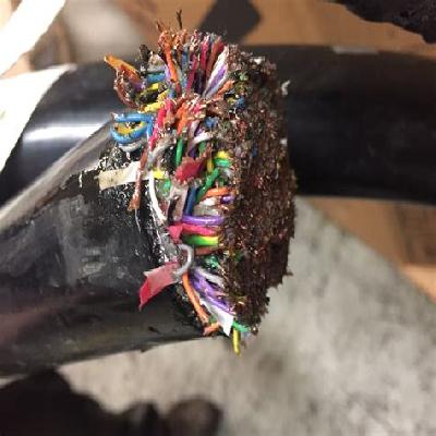 BHANSALI JELLY FILLED CABLE