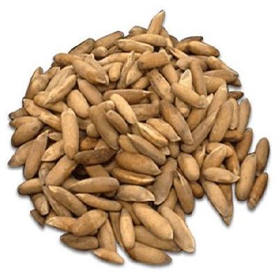 CHILGOZA PINE NUTS