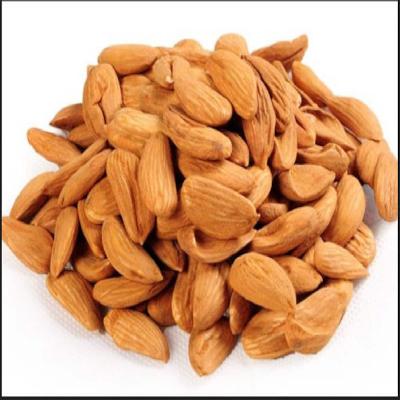 Mamra Almonds