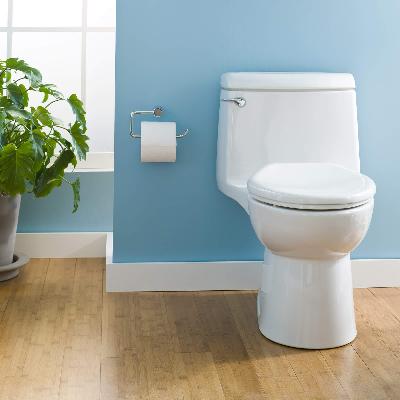 Single Piece WC