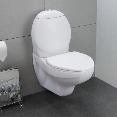 Wall Hung Coupled Closet