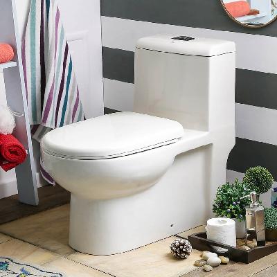 Ceramic Water Closet