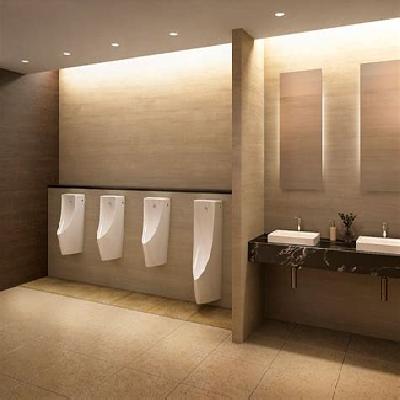 Wall Mounted Urinal
