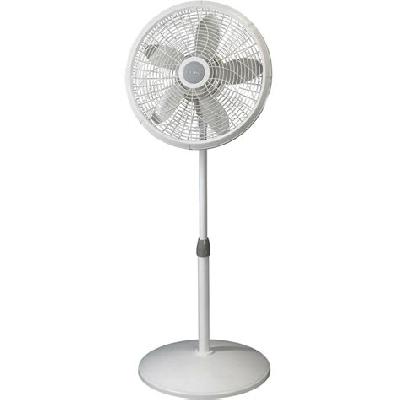 Energy Efficient Pedestal Fan