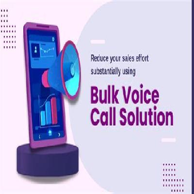 Bulk Voice Call Service