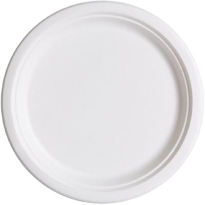Sugarcane Plate