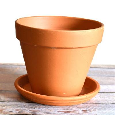 Terracotta pot