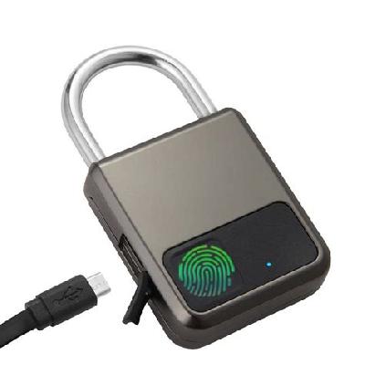 Anti-theft Fingerprint Lock
