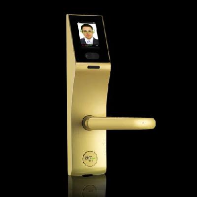 Face Lock With Password And Card Options