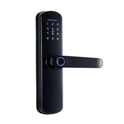 Fingerprint Lock With Password And Card Options