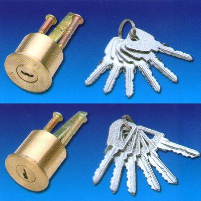 Electric Night Latch