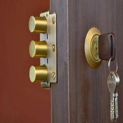 Main Door Lock