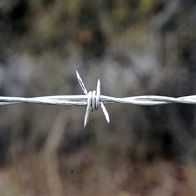 BARBED WIRE
