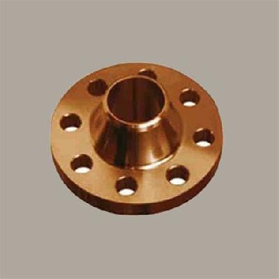 Cupro Nickel Flange