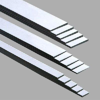 Stainless Steel Strip