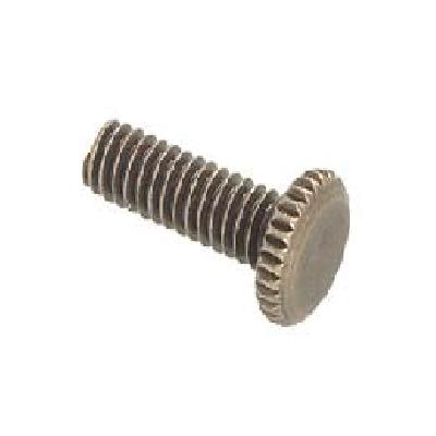 Antique Finish Grade Screw