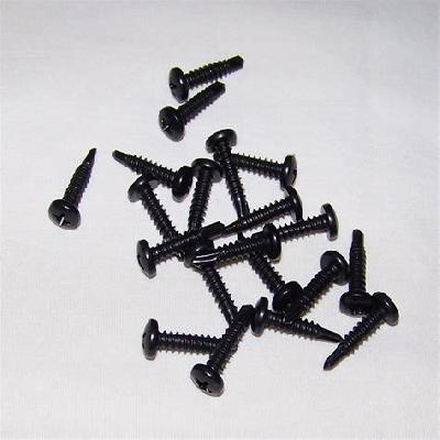 Black Stainless Steel Screws