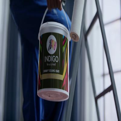 Indigo Ceiling Coat Paint